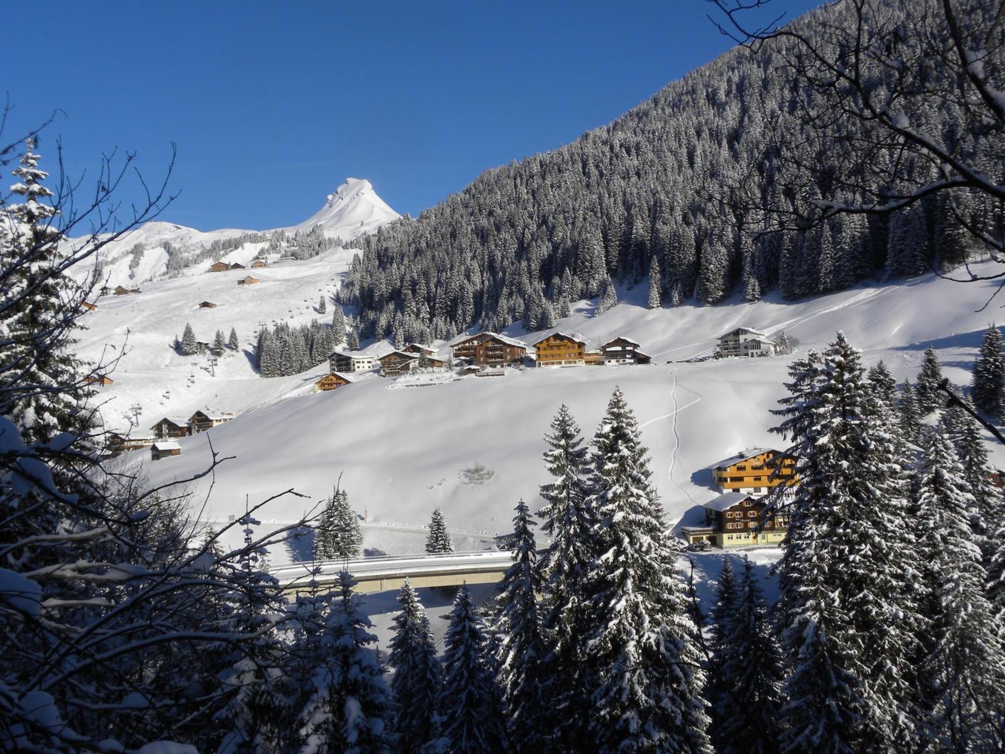 Hotel Alpenblume Damuels Kültér fotó